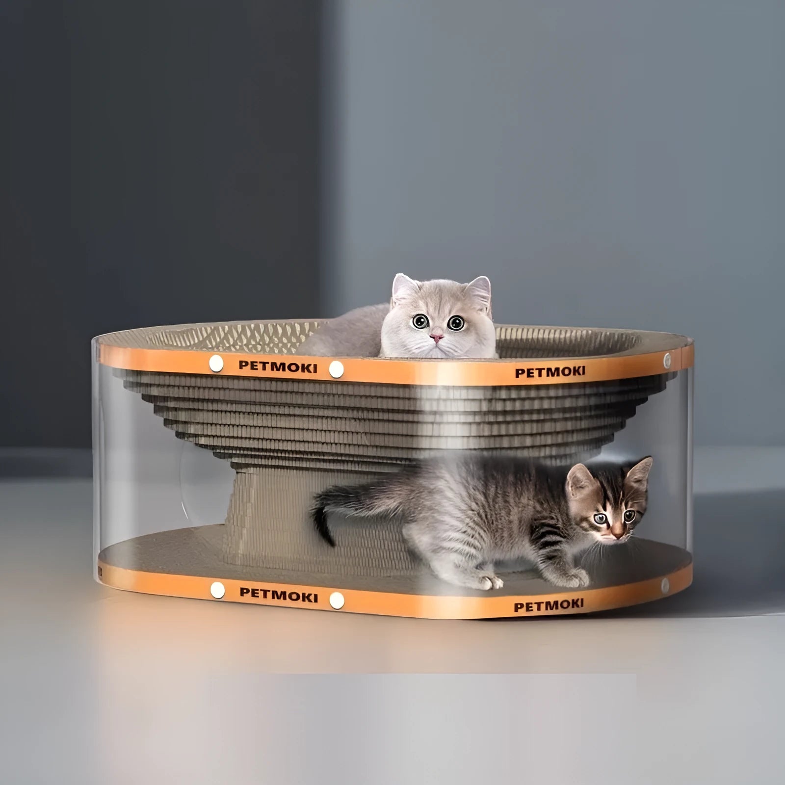 White transparent PVC cat tunnel with attached corrugated cardboard scratch board.