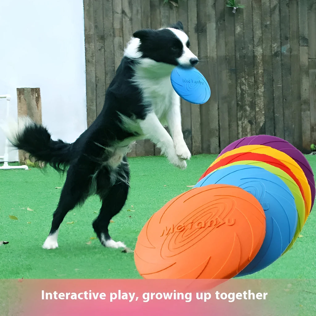 Soft rubber dog flying disc toy in blue, green and red colours showing small, medium and large size options