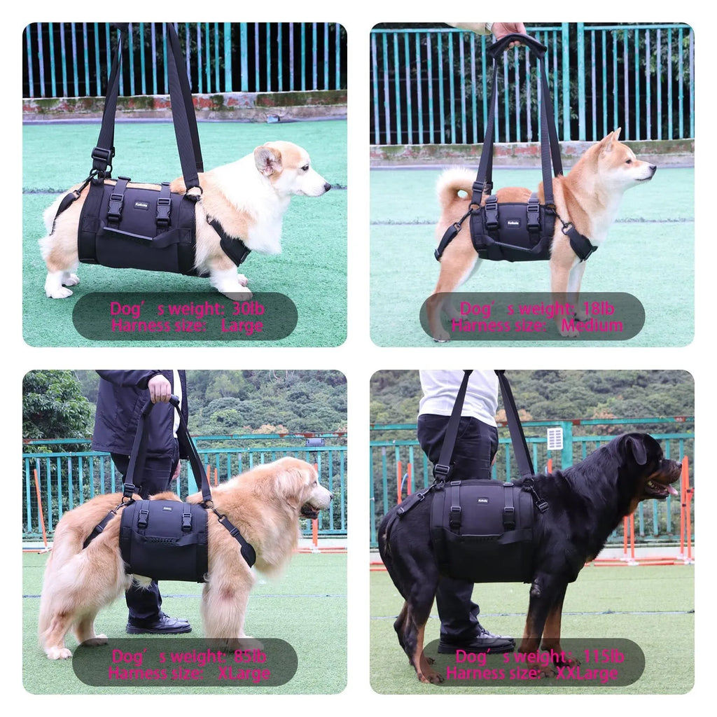 Black Oxford cloth dog harness with adjustable breast strap shown in four sizes
