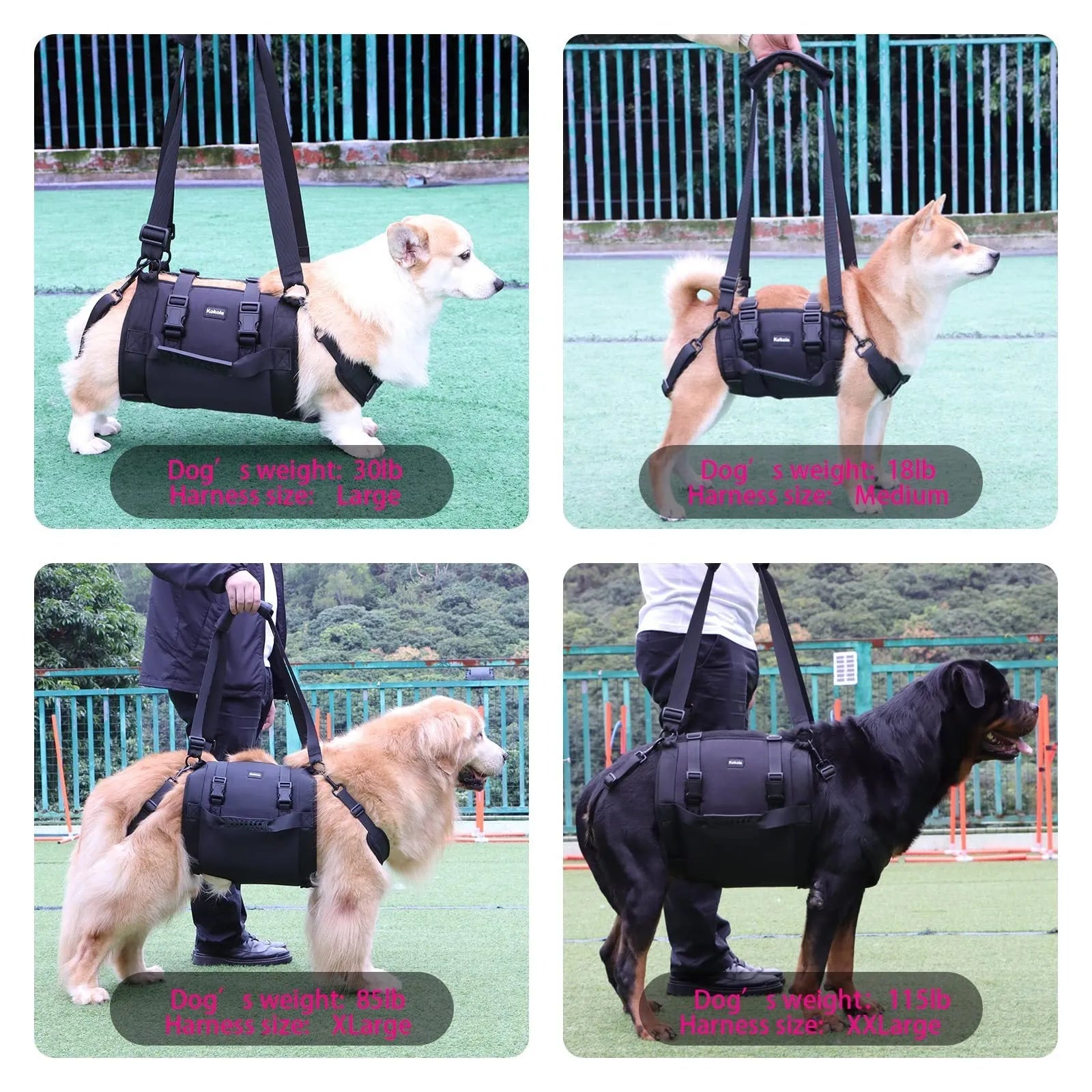 Black Oxford cloth dog harness with adjustable breast strap shown in four sizes