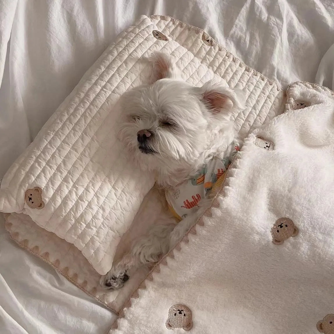 Fashion square mat removable washable dog bed set with pillow mattress quilt, simple bear design, size S and M options
