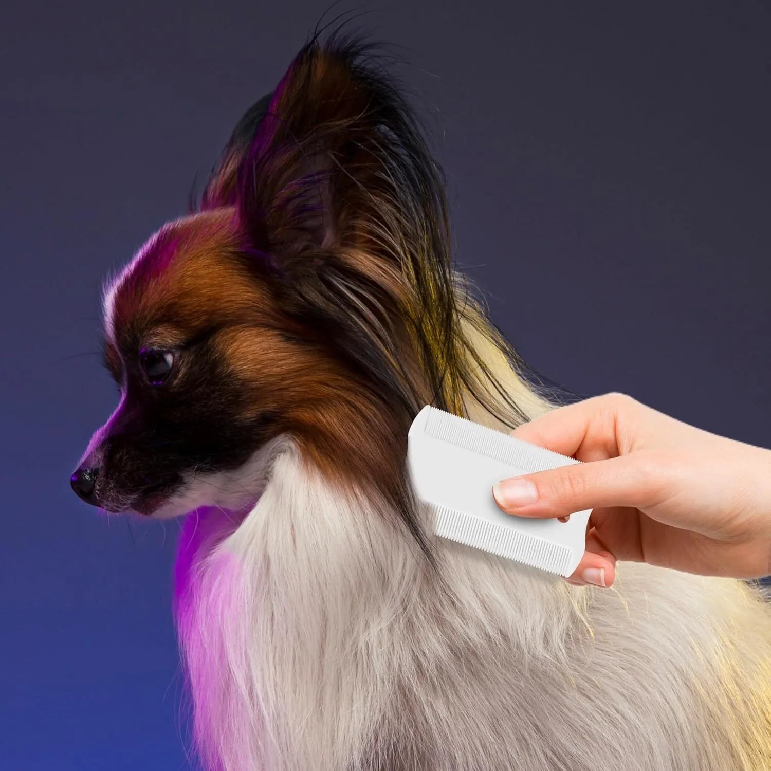 Double-sided plastic flea comb for dogs and cats on a white background.