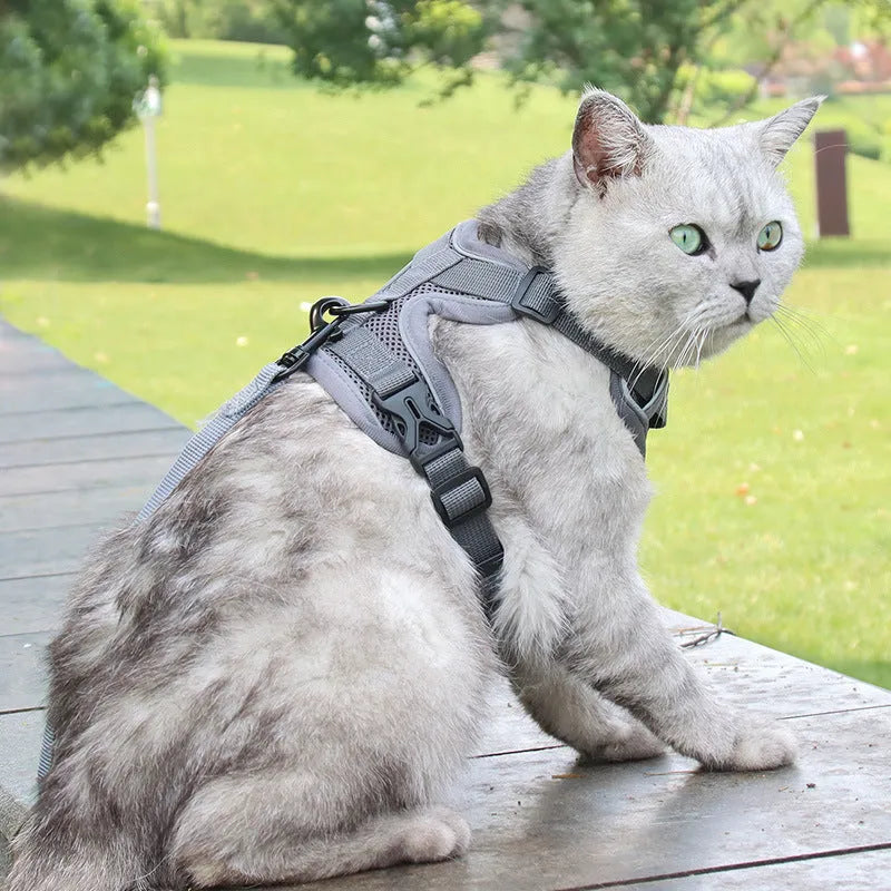 Anti-breakaway cat harness set with 1.5m flat rope lead and silver chain in green, grey, and rose red colours